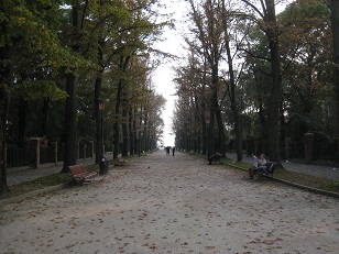 d0080547_3154111.jpg