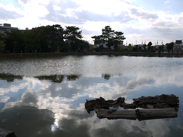 奈良公園_d0203850_1495850.jpg