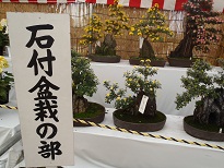 菊花展表彰式_f0229750_8423786.jpg