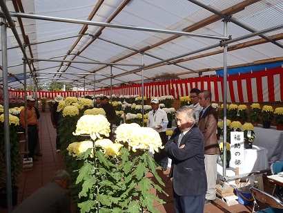 菊花展表彰式_f0229750_8455121.jpg