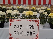 菊花展表彰式_f0229750_8571920.jpg