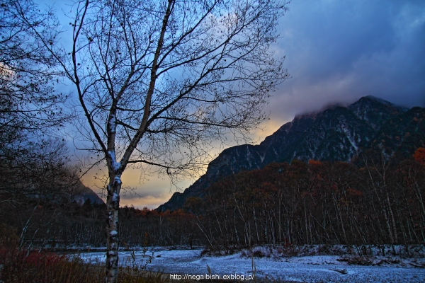 b0233456_2051921.jpg