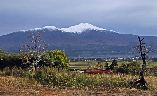 b0277159_11134736.jpg