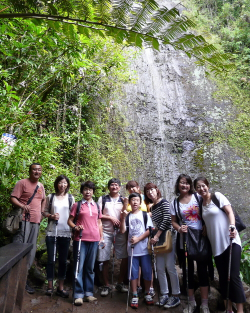 MANOA FALLS TRAIL_a0132260_910660.jpg