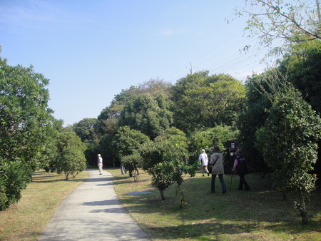 うみべの森を育てる会:定例植物観察 in せんなん里海公園_c0108460_21453561.jpg
