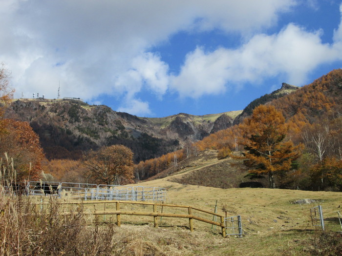 c0140260_0124552.jpg