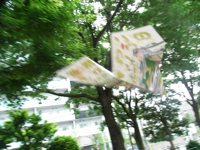 d0154964_6152646.jpg
