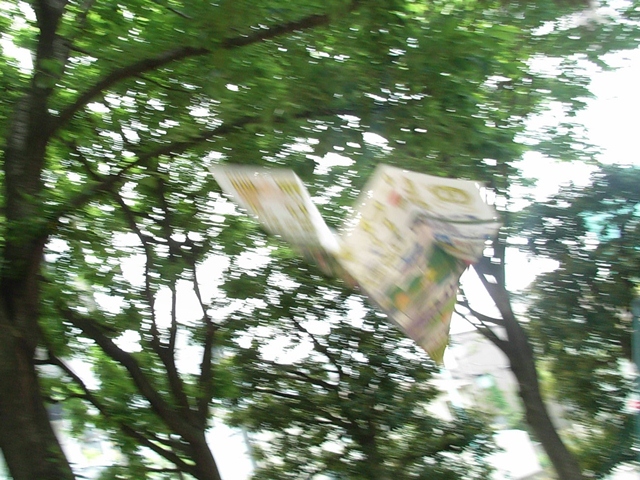 d0154964_616062.jpg