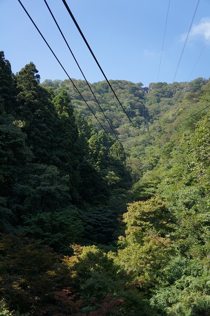 d0141365_02613.jpg