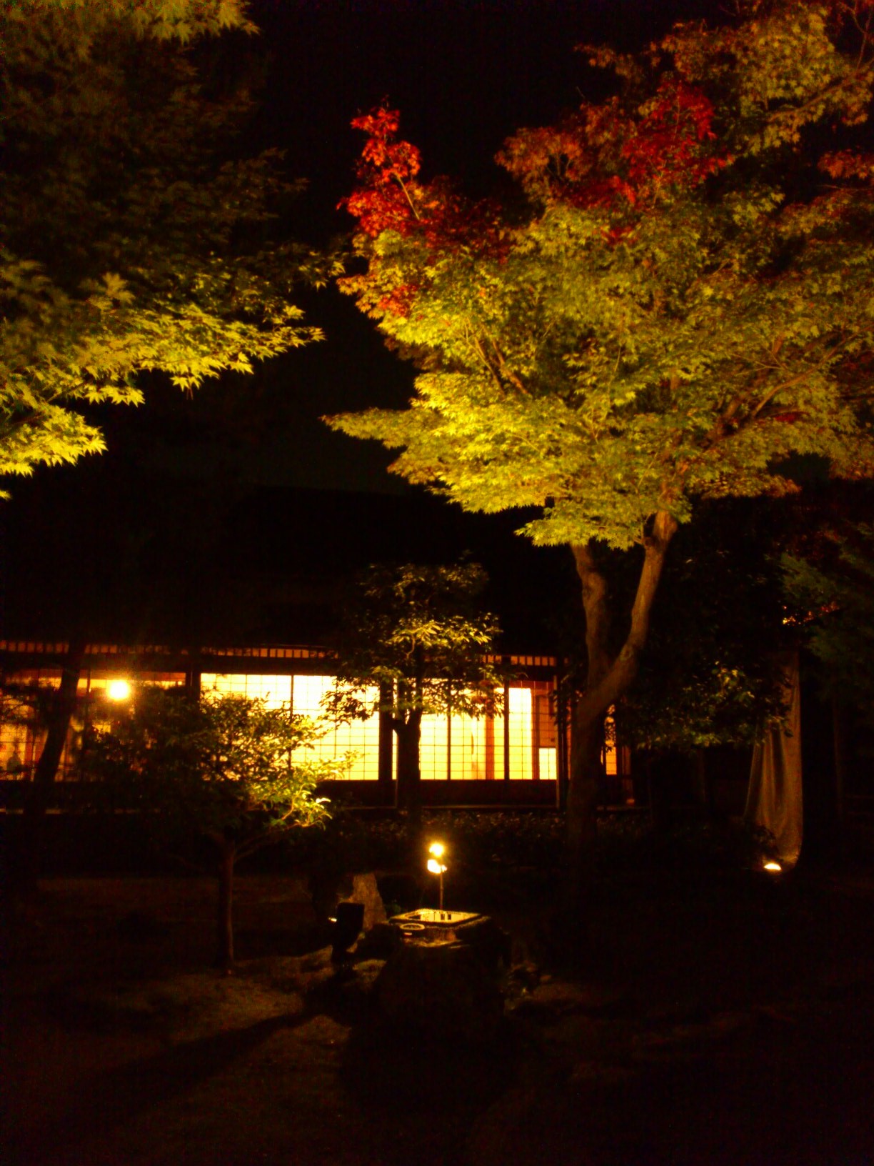 f0142070_12232412.jpg