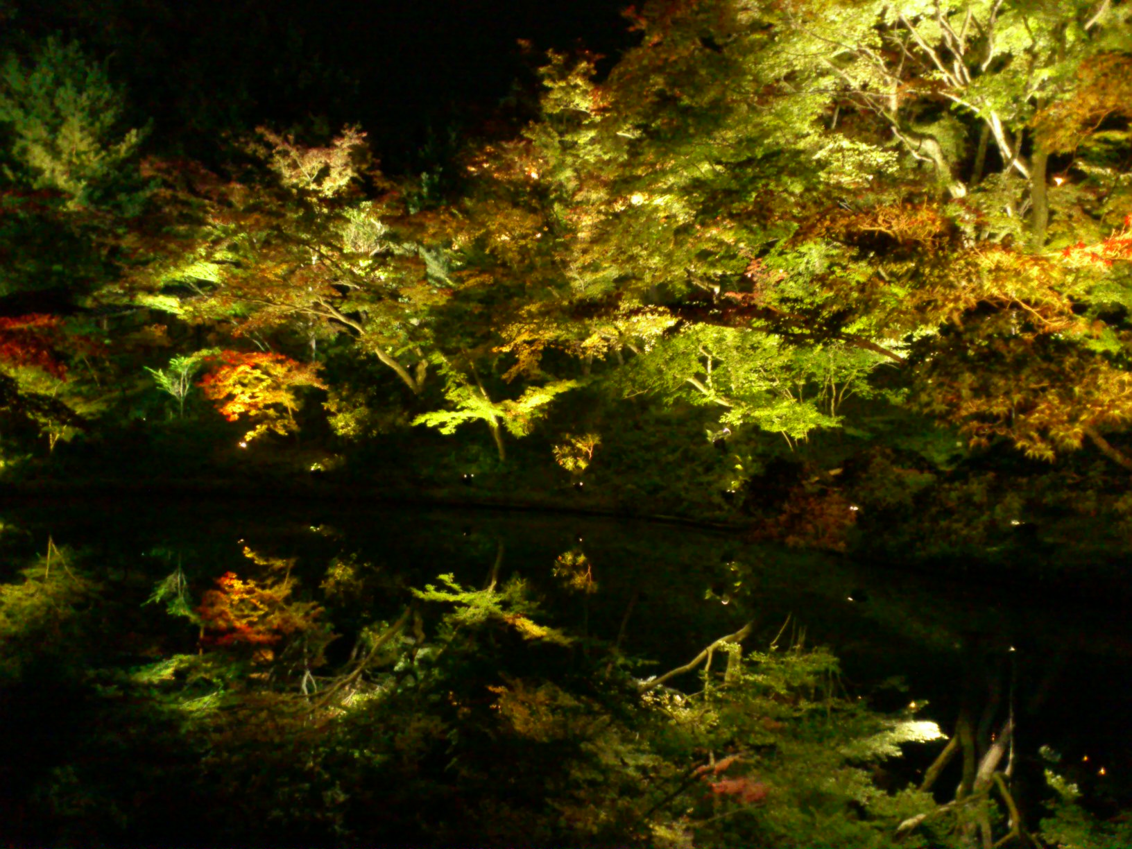 f0142070_12284069.jpg