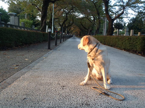 都心の紅葉はまだまだ、、_f0052277_1174917.jpg