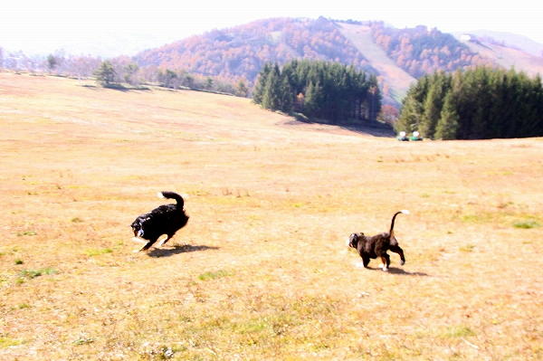 c0149178_82555.jpg