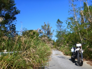 d0240983_20174498.jpg