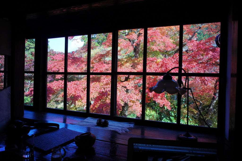 湯布院2日目。_c0180686_14428.jpg