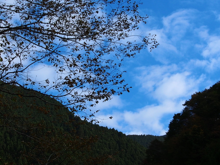 紅葉トレッキング　in 川苔山　（1）　　エピローグ♪_e0195587_213227.jpg