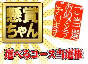 懸賞ちゃん　から100万円の当選メールがきた_a0163788_20145082.jpg