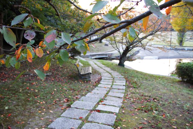 明石公園　2012.11.08　秋の軍団_b0174191_192321.jpg