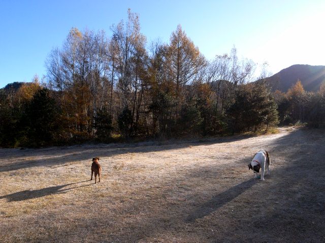 2012 ラストビブキャン　4-5 Nov 2012_a0093592_0571973.jpg