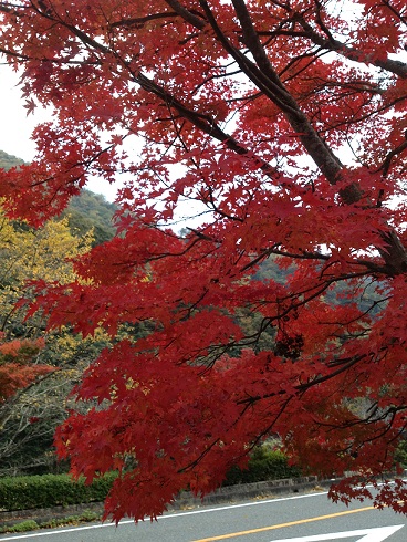 a0259293_21273227.jpg