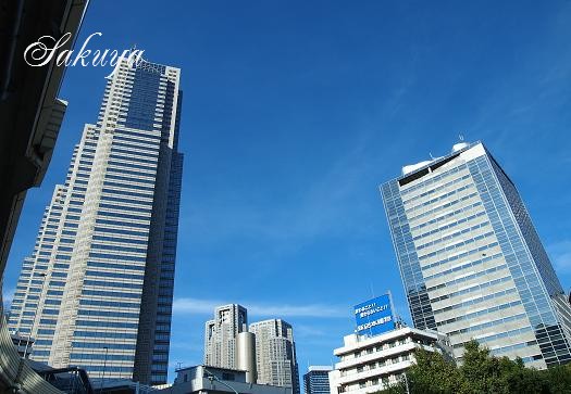 e0122194_16232132.jpg