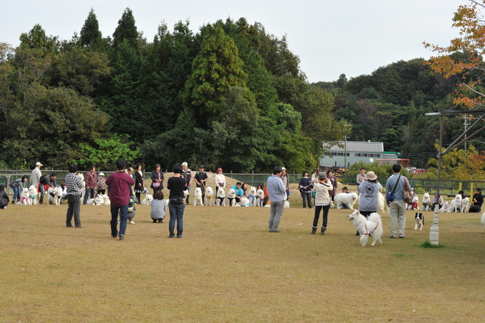 第7回　中部サモエドオフ会のご報告　part5_a0049296_20285865.jpg