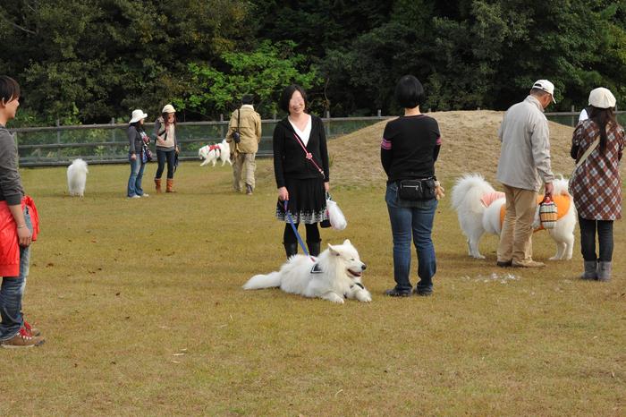 第7回　中部サモエドオフ会のご報告　part5_a0049296_20294560.jpg
