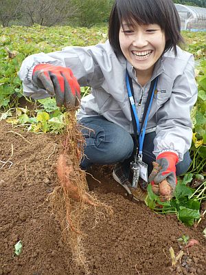 幼少期以来の芋掘り体験（西海市）_e0198197_14392818.jpg