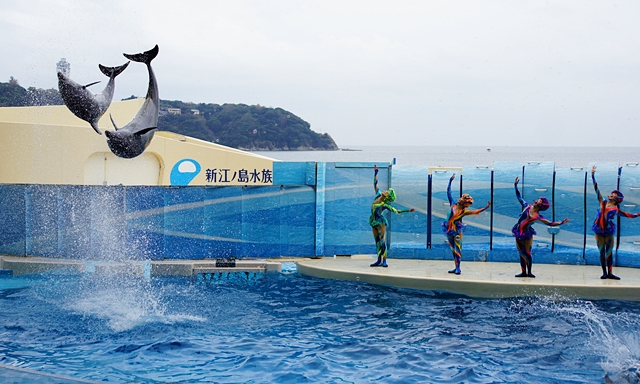 新江ノ島水族館のハロウィンフェスティバル_b0145398_2140687.jpg