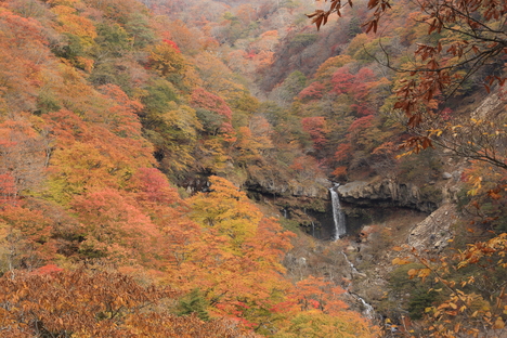 日光旅行(1)_b0275998_6543189.jpg