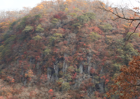 日光旅行(1)_b0275998_656079.jpg