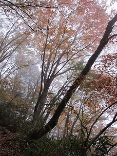 c0212298_0275046.jpg