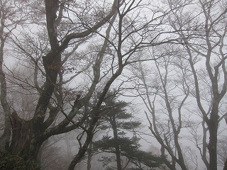 c0212298_0281875.jpg