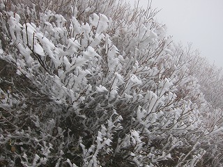 c0212298_0285298.jpg