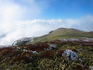 c0212298_0302559.jpg