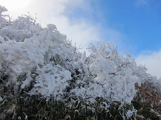 c0212298_030644.jpg
