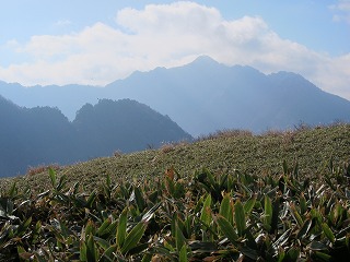c0212298_0324285.jpg