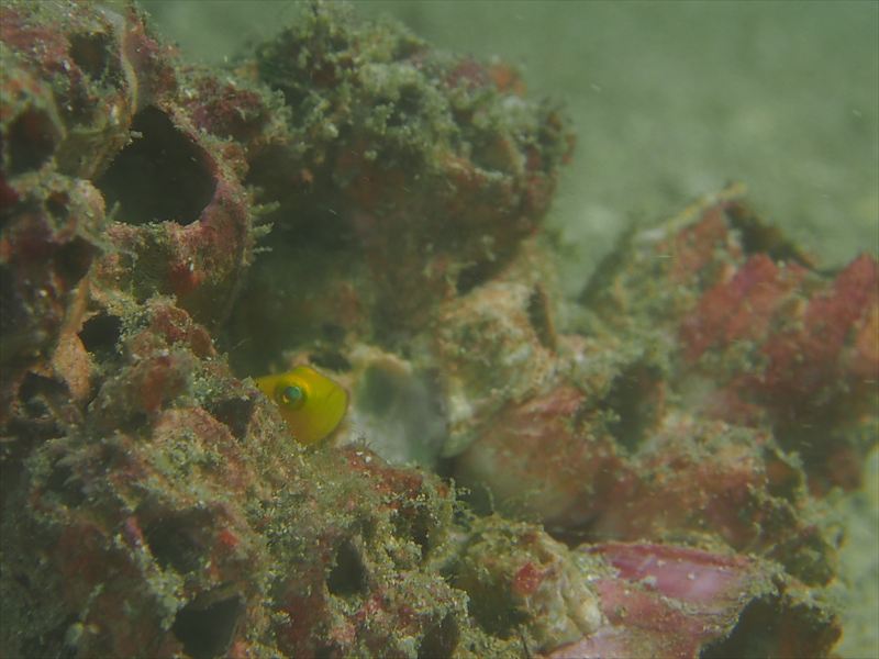 a0201201_17221218.jpg
