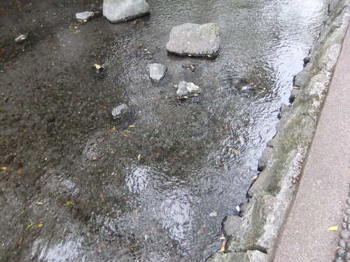 f0101201_22423647.jpg
