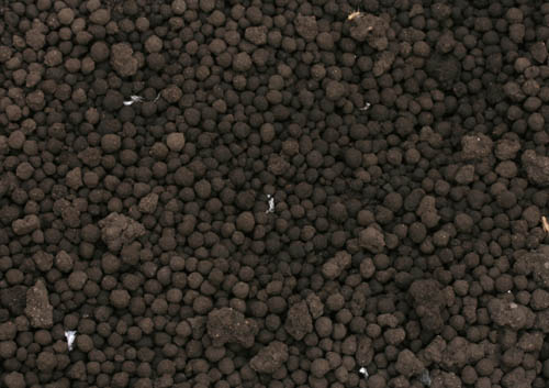 c0165803_23411555.jpg