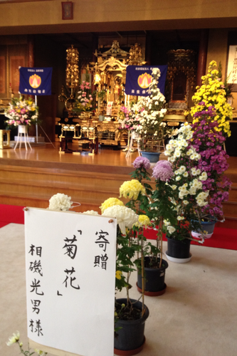 b0188106_21444687.png