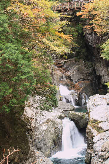 紅葉の天川村・吉野山の旅_d0154609_1057021.jpg