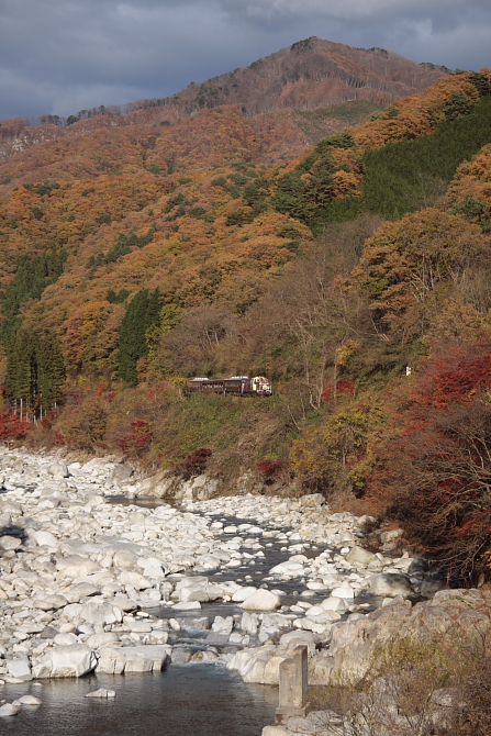 紅い山と白い川 - 2011年秋・わたらせ - _b0190710_761642.jpg