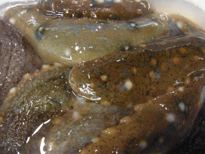 f0157910_14503521.jpg