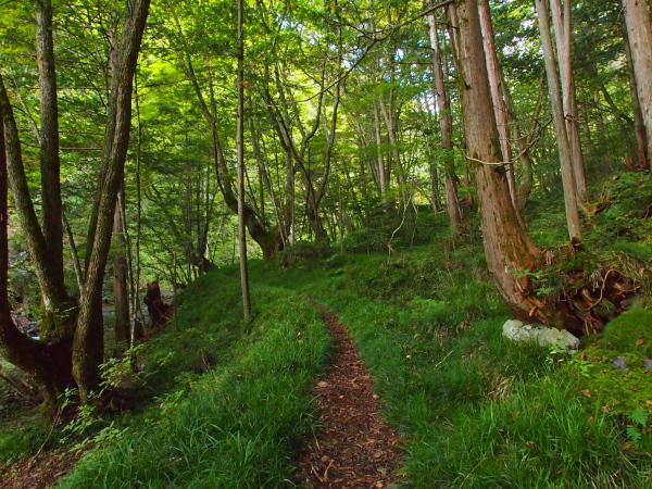 b0244811_21305080.jpg