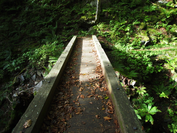 b0244811_21345857.jpg
