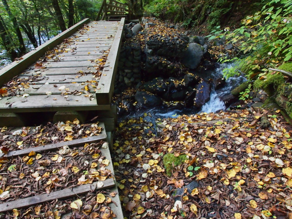 b0244811_2214947.jpg