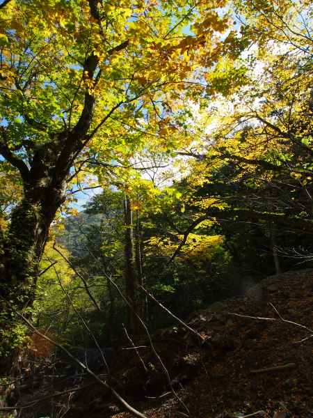 b0244811_22175040.jpg