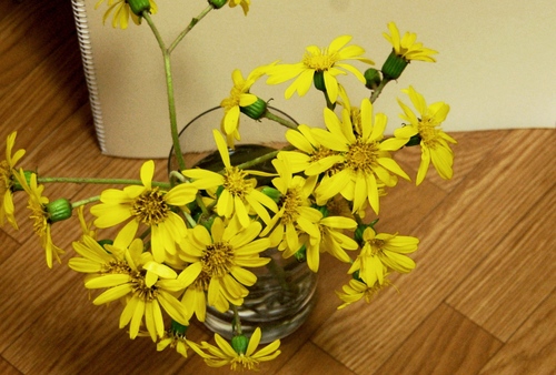 b0238914_0132740.jpg