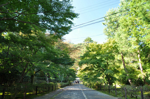 2012.10.24　京都ひとり旅　２_f0046614_9261150.jpg